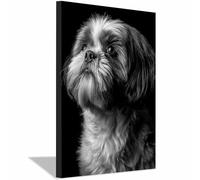 HUYEEI perro Cuadro En Lienzo Perro mirando al cielo Cuadros Decoracion Pinturas, Murales Modernos Impresiones Para Dormitorio Salon Poster（blanco y negro-60x90cm Enmarcado