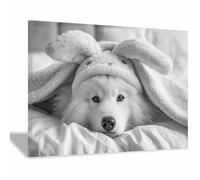 HUYEEI perro Cuadro En Lienzo Perros envueltos en una manta Cuadros Decoracion Pinturas, Murales Modernos Impresiones Para Dormitorio Salon Poster（blanco165-40x60cm Enmarcado
