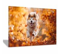 HUYEEI perro Cuadro En Lienzo Perros saltando entre las hojas. Cuadros Decoracion Pinturas, Murales Modernos Impresiones Para Dormitorio Salon Poster（naranja175-20x30cm Enmarcado