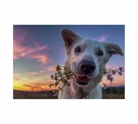 HUYEEI perro Cuadro En Lienzo Sonriendo con una flor en la boca Cuadros Decoracion Pinturas Murales Pintura Poster Impresiones Lienzo Para Dormitorio Salon（blanco158-60x80cm Sin marco