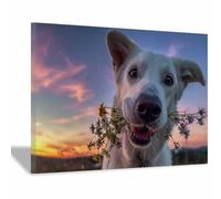HUYEEI perro Cuadro En Lienzo Sonriendo con una flor en la boca Cuadros Decoracion Pinturas Murales Pintura Poster Impresiones Lienzo Para Dormitorio Salon（blanco158-40x60cm Enmarcado