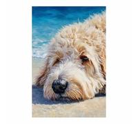 HUYEEI perro Lienzo decorativo Perro playero Carteles de animales e impresiones Mural Cuadros, para sala de estar, dormitorio,Pasillo etc.（marrón-60x80cm Sin marco