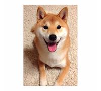 HUYEEI perro Lienzo decorativo Perros tumbados Carteles de animales e impresiones Mural Cuadros, para sala de estar, dormitorio,Pasillo etc.（naranja-20x30cm Sin marco