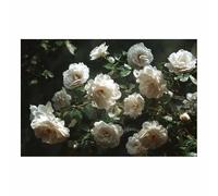 HUYEEI Pintura mural en lienzo con paisaje natural Ramos de rosas blancas cuadro de póster, decoración de pared moderna para oficina,sala de estar,pasillo,aula（blanco192-20x30cm Sin marco