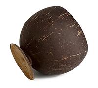 HVRFJXI Cuencos de coco para almacenamiento y decoración de cocina, regalo de acai, ensalada, taza de bebida fría