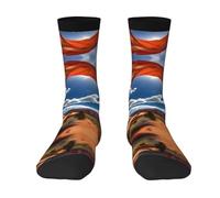 HVTTIOR Arches National Park - Calcetines deportivos con estampado estándar para adultos, circunferencia de un solo lado, para hombres y mujeres, uso casual, 2 negro-1, talla única