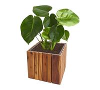HWC-L24 - Macetero rectangular (32 x 32 x 32 cm, madera de acacia, certificado FSC), color marrón