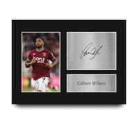 HWC Trading Callum Wilson The Hammers Regalos Impresos Imagen De Autógrafo Firmado Para Los Aficionados Al Fútbol Y Partidarios - A4