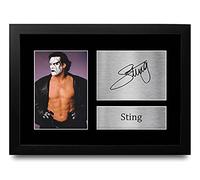 HWC Trading Sting A4 Enmarcado Regalo De Visualización De Fotos De Impresión De Imagen Impresa Autógrafo Firmado Por Wwe Fanáticos De La Lucha