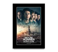 HWC Trading The Maze Runner : The Death Cure Los Regalos Imprimieron El Cartel Firmaron La Imagen Del Autógrafo Para Los Fans De La Memorabilia De La Película (ID-003983) - A4 Solo Impresión