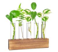 Hwtcjx Jarrón Hidropónica, Estación De Propagación para Plantas, Terrario con Soporte Madera, Florero Cristal, Jarrones Vidrio Macetas para Interior Decoración Mesa Oficina Casa Jardín (5 Botellas)