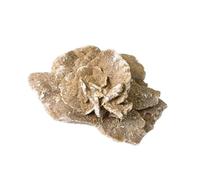 HWXMUGLXL Crystal Desert Rose Rough Stone Mine Mark Ornaments Crystals Rock Free-Shaped Gem Fish Tank for Aquarium & Home Decor,50~100g Gemstone Stone