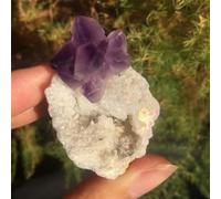 HWXMUGLXL Stone Geode Quartz Crystal Halo Amethyst Cluster Home Decor Gift(1PCS) Gemstone Stone