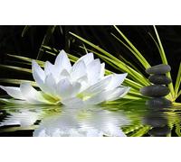 HXA DECO Cuadro Ambiente Zen y Flor de Loto - 80x50 cm
