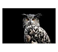 HXA DECO - Póster con diseño de búho, 60 x 40 cm, fabricado en Francia, 60 x 40 cm