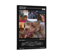 HXHDESIGN Steve Lacy - Póster de The Lo-fis, impresiones en lienzo musical para dormitorio, sala de estar, decoración de pared, 20 x 30 cm, estilo marco