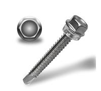 HXJDAM 40 Pcs 410 Acero Inoxidable Tornillos Autotaladrantes Cabeza Hexagonal M6.3x50mm Con Arandela Plástico Tornillos Autoperforantes Hexagonales Autorroscantes para