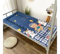 hxoity Dormitorio Soltero Tatami Colchón 4 Cm Engrosarse Tatami Tapete para Dormir Colchón De Futón Japonés Llegada De La Cama De Invitados Estera De Dormitorio De Estudiante Plegable para Dormir
