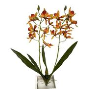 HXSCOO Orquídea Dendrobium simulada con Hojas, decoración de Mesa de Club, Adornos, arreglo Floral, Flor de Seda de orquídea de Tinta de una Sola Rama (Color : Naranja)
