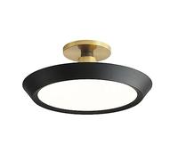 HXYSXHJUO Lámpara de Techo Moderna - Lámpara LED de Hierro Forjado Pintado de 50 cm para Dormitorio, Cocina y balcón. Luminaria Decorativa Sencilla, solución de iluminación Elegante.