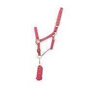 Hy Cabezada y soga de guía con apliques color oro rosa (BZ417) UTBZ417_1