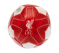 Hy-Pro Mini Pelota Suave con Licencia Oficial del Liverpool F.C. 4 Pulgadas, LFC, mercancía, Ideal para niños, Gran Idea de Regalo del Liverpool
