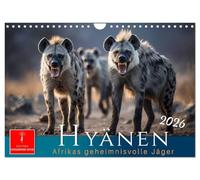 Hyänen - Afrikas geheimnisvolle Jäger (Wandkalender 2026 DIN A4 quer), CALVENDO Monatskalender: Streifzüge in freier Wildbahn - mitten in der rauen Natur.