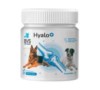 BVS Vet Shop | Hyalo Plus para Perros | Fortalece el Tejido cartilaginoso y Mejora la Movilidad de tu Mascota | 320 Comprimidos