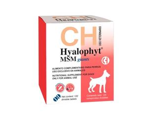 Hyalophyt Msm Giants Condroprotector para Perros Grandes de Razas Gigantes y Protector de Articulaciones, Caderas y Cartílagos, Suplemento Indicado para Tendones y Ligamentos (120 Comprimidos)