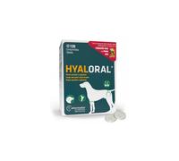 Hyaloral Comprimidos - Perros Grandes y Gigantes - 120 Comprimidos