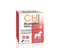 Hyaloral MSM razas gigantes en comprimidos suplemento condroprotector para perros Chemical Ibérica