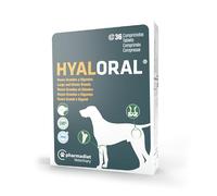 HYALORAL Perro Razas Grandes 36CPD