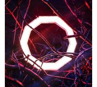 Hybrid Minds - Reflections