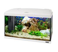 Hydor Acuario 60 litros para Peces Tropicales o de Agua Dulce, Incluye: Lámpara LED, Filtro Interno 2 Etapas para Agua cristalina, Calentador, 60 x 31,5 x h 39,5 cm Blanco
