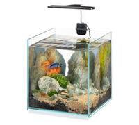 Hydor Acuario 9,5 litros con Lámpara LED Regulable de 3 Modos (día, Noche y Mixto), 22 x 22 x h 36 cm.