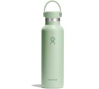 Hydro Flask 21 OZ Boca Estándar Botellas Térmicas Botellas Iso Aloe