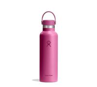 Hydro Flask Botella de Agua 621 ml 21 oz - Acero Inoxidable con Aislamiento al Vacío y Tapa a Prueba de Fugas y Revestimiento en Polvo - Standard Mouth - Reel, 621ml (21oz), Reef