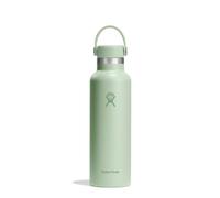 Hydro Flask Botella de Agua 621 ml 21 oz - Acero Inoxidable con Aislamiento al Vacío y Tapa a Prueba de Fugas y Revestimiento en Polvo - Standard Mouth - Aloe, 621ml (21oz)