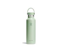 Hydro Flask Hydration Standard Flex Cap Botella de agua 621 ml verde