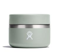 Hydro Flask Recipiente térmico isotérmico 354 ml verde