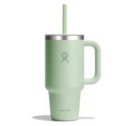 HYDRO FLASK - Travel Tumbler - Vaso de viaje 946 ml (32 oz) con tapa de pajita presionable cerrable - Acero inoxidable - Aislamiento al vacío de doble pared - Tapa resistente a salpicaduras - Aloe
