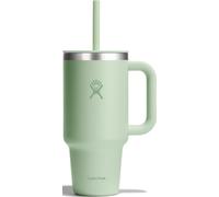 Hydro Flask - Travel Tumbler 946 ml (32 oz) | Tapa con pajita y cierre a presión - Acero inoxidable - Aislamiento al vacío de doble pared - Antisalpicaduras - Aloe