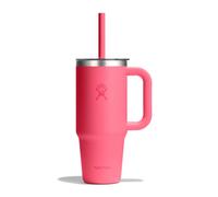 Hydro Flask Tumblers Taza para beber 710 ml fucsia