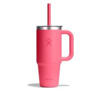 Hydro Flask Tumblers Taza para beber 710 ml rosa