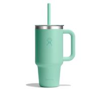 Hydro Flask Tumblers Taza para beber 946 ml verde