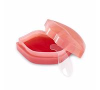 Hydrogel Lip Mask 22 Uds
