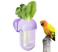 Hydroponic Parrot Feeder With Veggie Holder | ABS PP Bird Cage Fruit Stand | Fresh Sprouts Watering Dispensador | Decorative Small Pet Food Bowl Set
