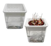 Hydroponic Propagation Planter - Transparent Layered Rooting Container, Soil Free Growing Station for Semi Hydro Cuttings Starters Decorative Botanical Tool | Home Office Balcony Windowsill Bedroom Li