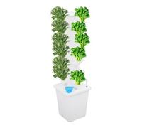 Hydroponic Tower 30 Pods, 6 pisos, sistema de cultivo hidropónico para | IPX 8 Hydroponic System, Vertical Smart Garden, hidroponía con bomba y LED, ahorro energético, depósito de 10 L para hierbas