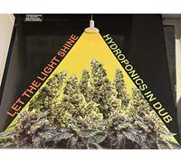 Hydroponics - Let The Sun Shine